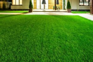 artificial grass turf ivy miami fl