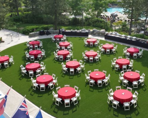 hospitality artificial grass turf fort lauderdale fl